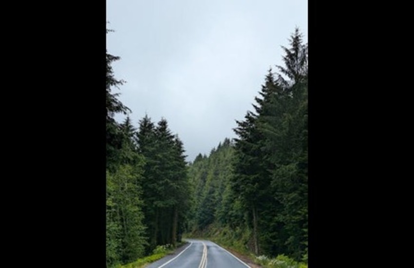 Top Law Firms in the Pacific Northwest: Highlights from Vault's Regional Resource Centers