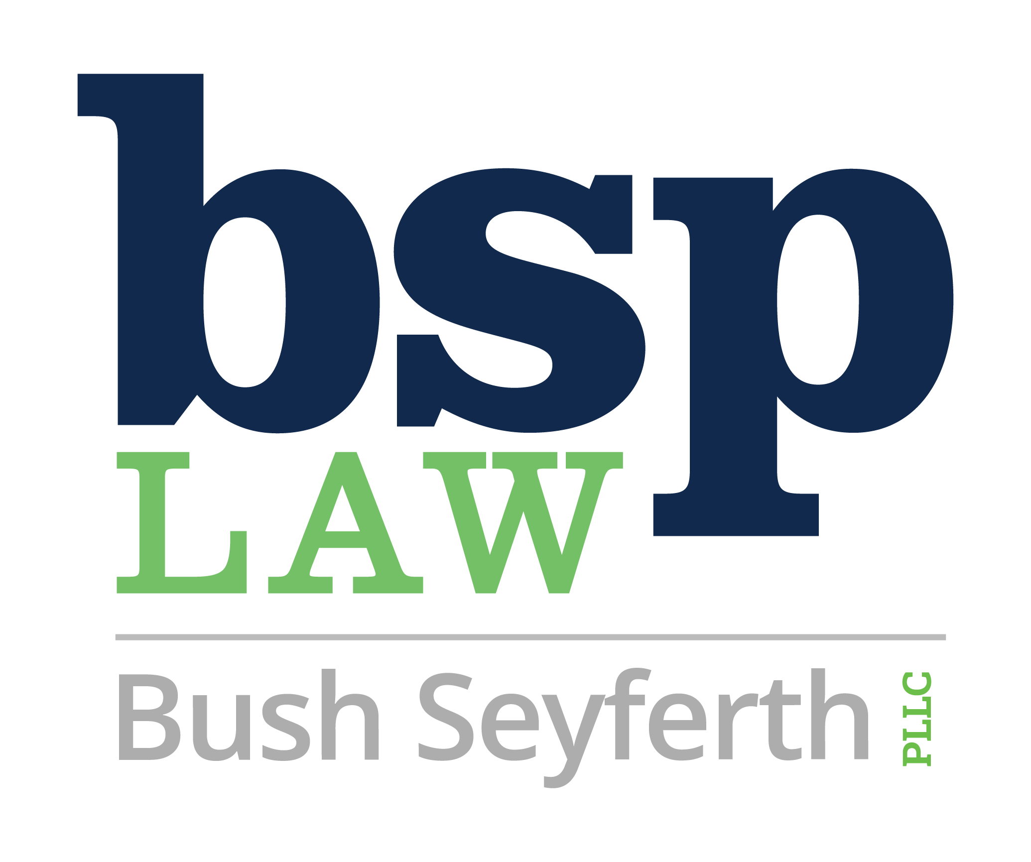 Bush Seyferth PLLC logo