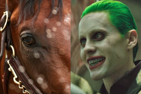 The Studly Second Careers of American Pharoah and Jared Leto